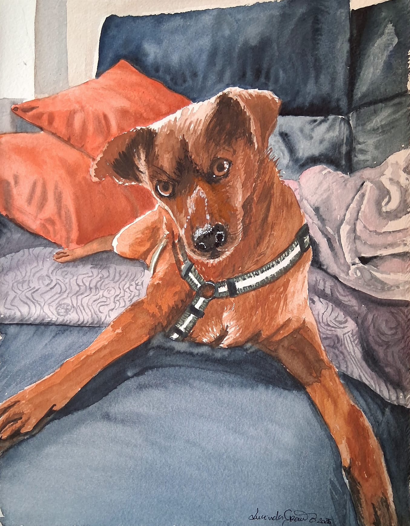 Retrato de animal de estimação por encomenda