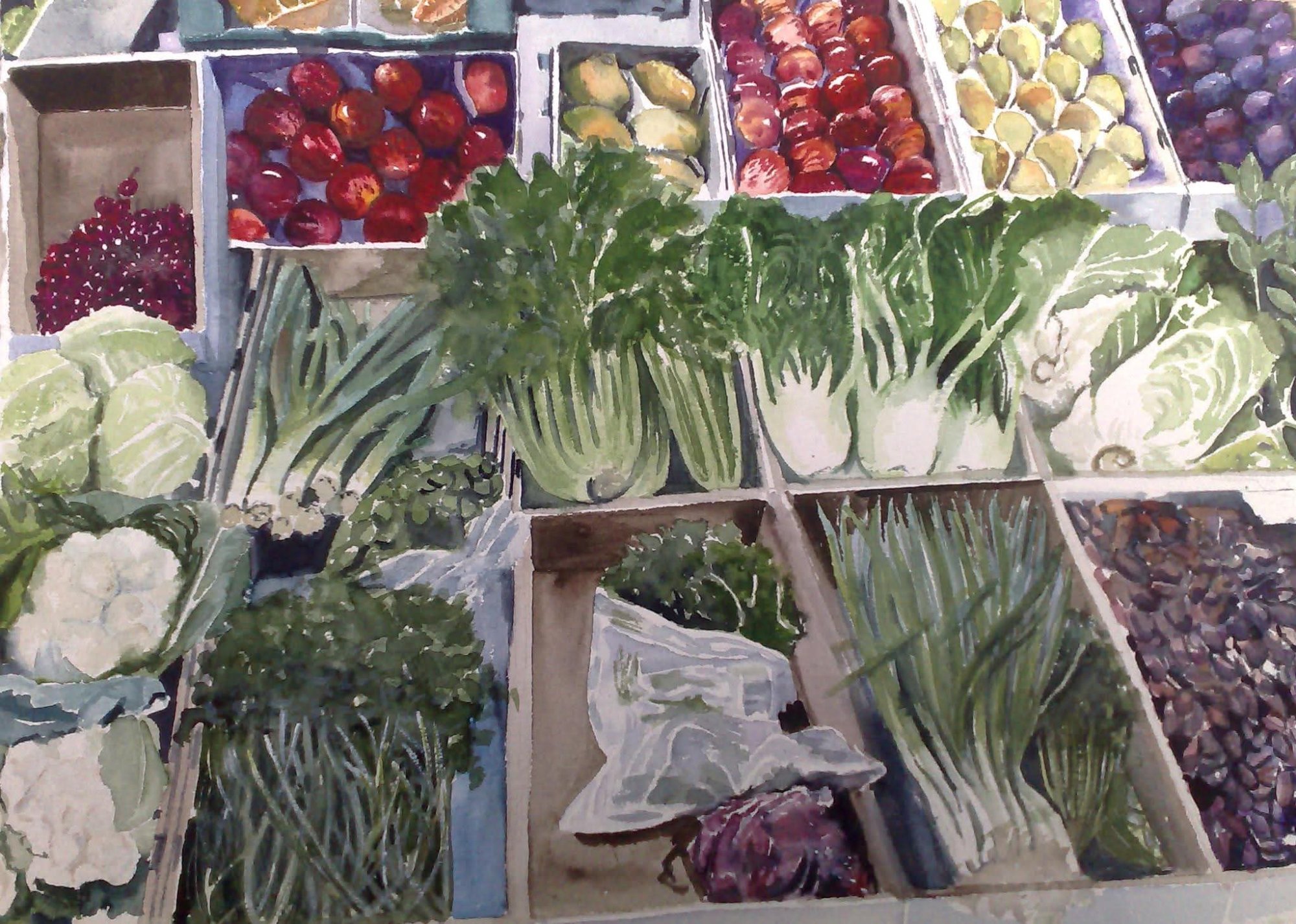 Fartura no Mercado da Manhã